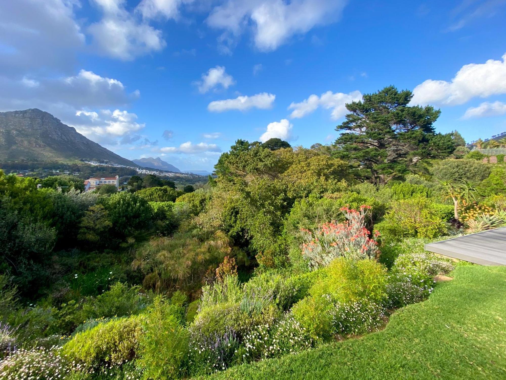 Luxe Family Home With Solar Power In Secure Hout Bay Estate Kaapstad Buitenkant foto